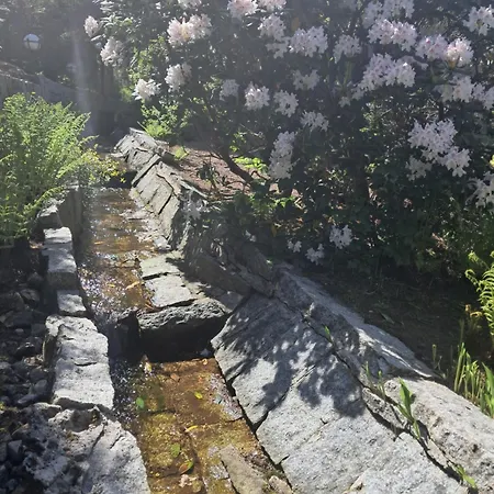 Pawel Z Balia I Jacuzzi 卡尔帕奇